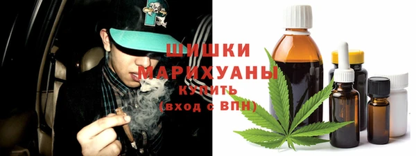 крисы Кодинск