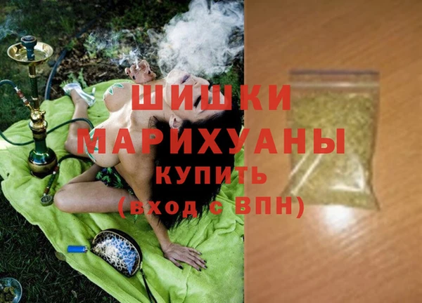 крисы Кодинск