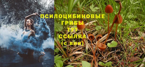 метадон Козловка