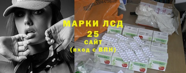 крисы Кодинск
