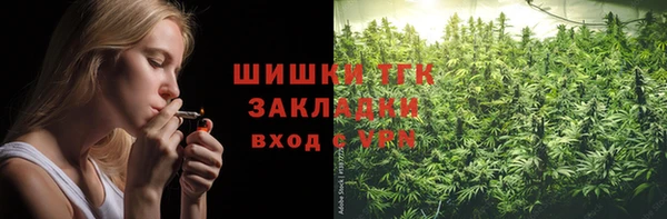 крисы Кодинск