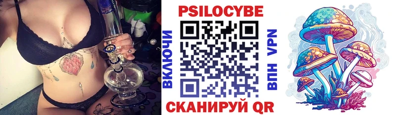 Галлюциногенные грибы MAGIC MUSHROOMS  Купить закладки  Грязи 